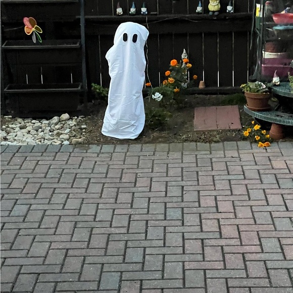 Meet your Posher, Lu- Womenโs and Home - Picture 7 of 8